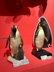 いきもの超ワールド展🐳