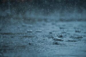 雨がすごいです🌧️