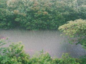 台風一過&hellip;🌀